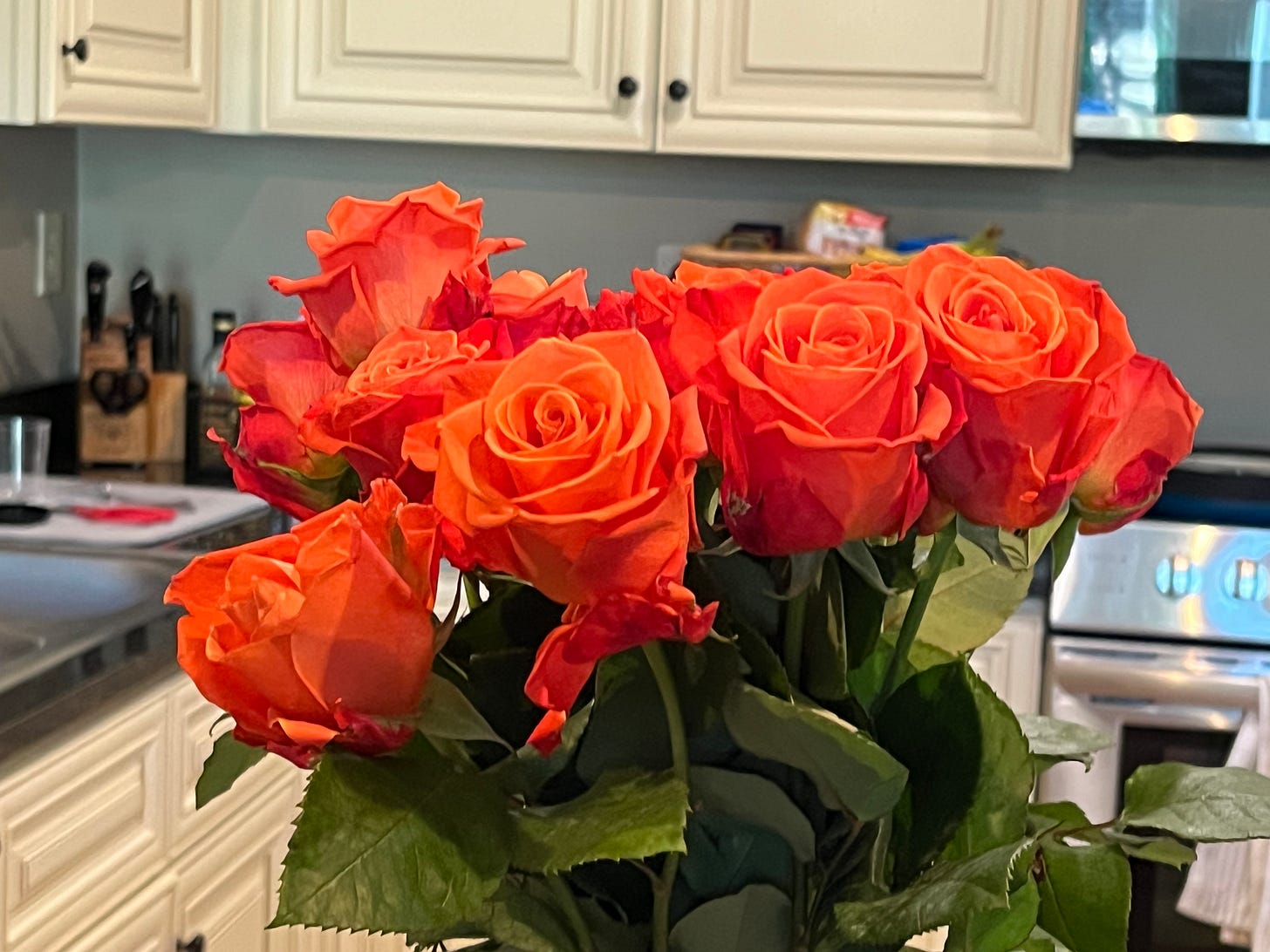 A dozen roses in a vase on a kitchen counter