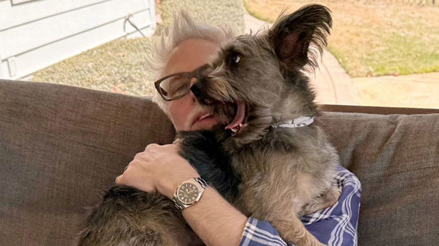 James Gunn says Krypto, Superman’s dog, will be in new film – and the ...