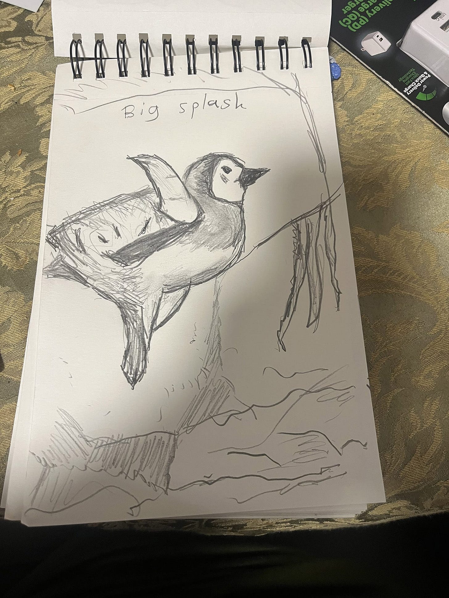 A bird jumping into the water. "Big splash" lettered above.