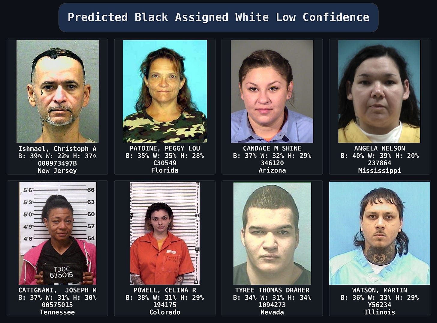 Predicted_Black_Assigned_White_Low_Confidence_collage_dark Predicted_Black_Assigned_White_Low_Confidence_collage_dark