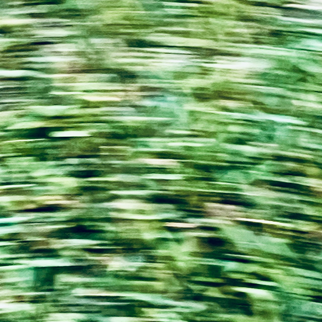 RED GRASS