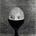 James Pilcher's avatar