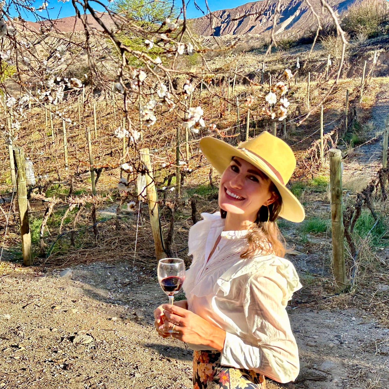 Mariah's Journals from the Calchaqui Valley and beyond. 