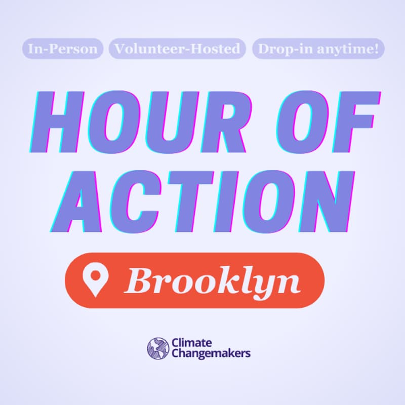 Cover Image for Brooklyn Hour of Action x Nicole Kelner
