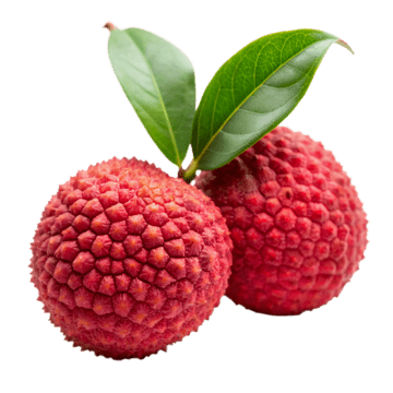 Lychee PNG Transparent Images Free Download | Vector Files | Pngtree