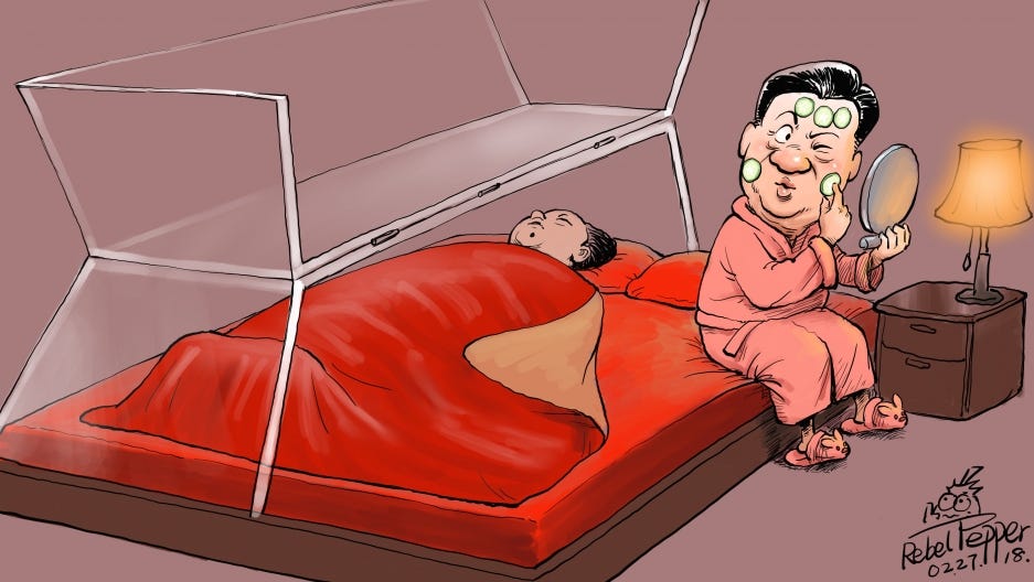 Chinese cartoonist Rebel Pepper finds artistic freedom in US