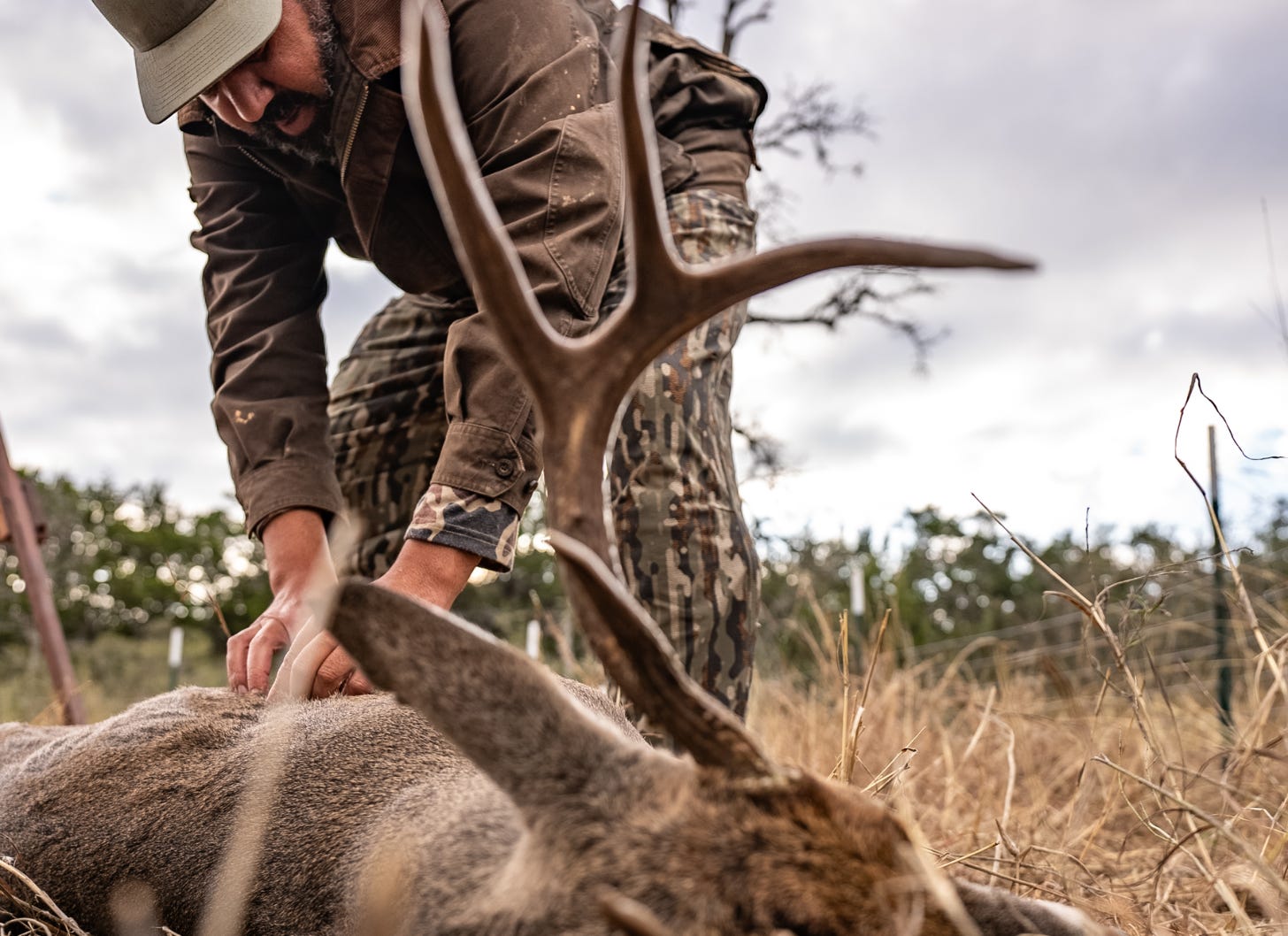 A hunter, Josh Crumpton, kneeling over a harvested buck in a grassy field to dress it, focusing on the respectful practice of whole-animal butchery after a successful deer hunt. A hunter, Josh Crumpton, kneeling over a harvested buck in a grassy field to dress it, focusing on the respectful practice of whole-animal butchery after a successful deer hunt.