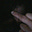 lizzard's avatar
