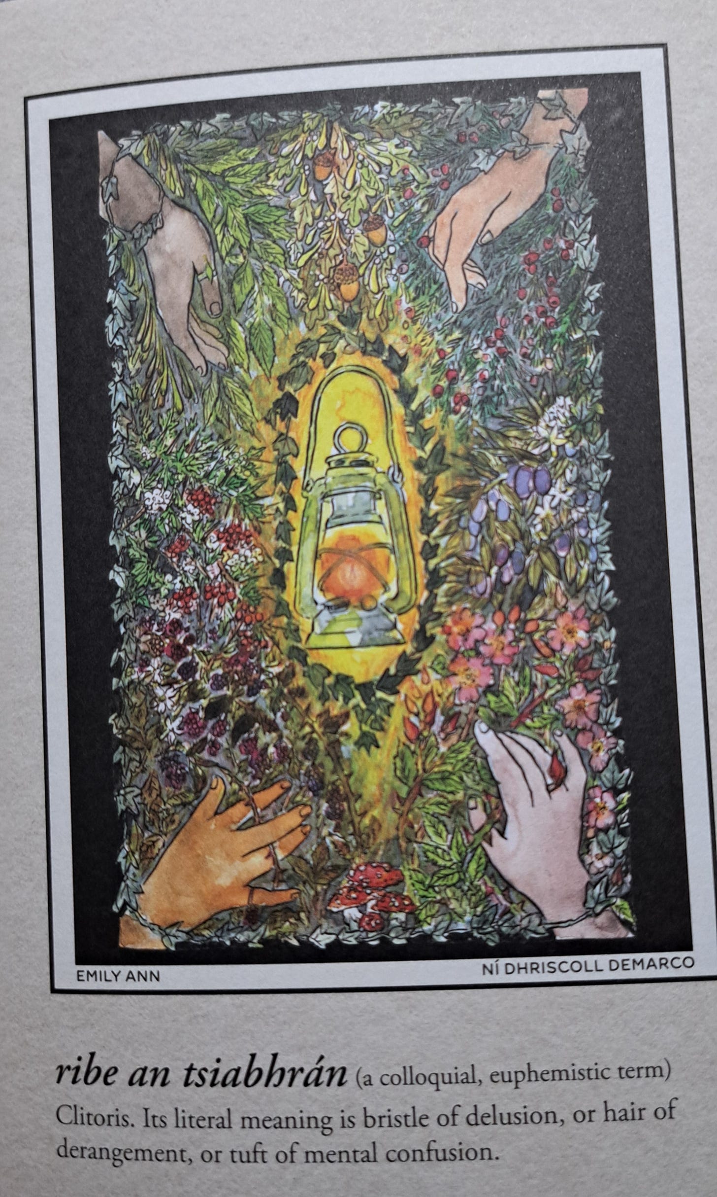 Colourful page with beautiful artwork from Manchn's book