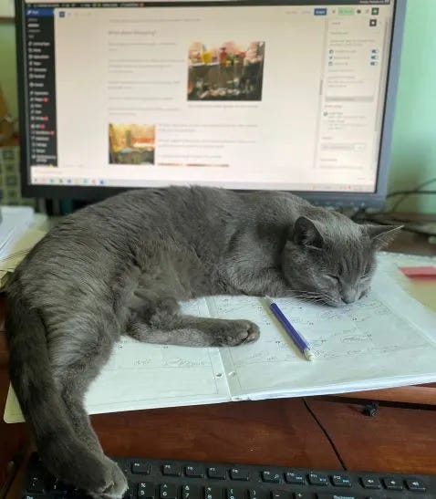 Tasha on computer Tasha on computer