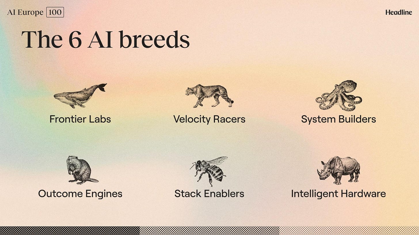 The six AI breeds: Frontier Labs, Velocity Racers, System Builders, Outcome Engines, Stack Enablers, Intelligent Hardware