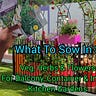 The Cloud Gardener's Soapbox