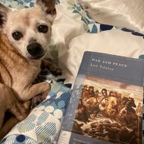 No photo description available.