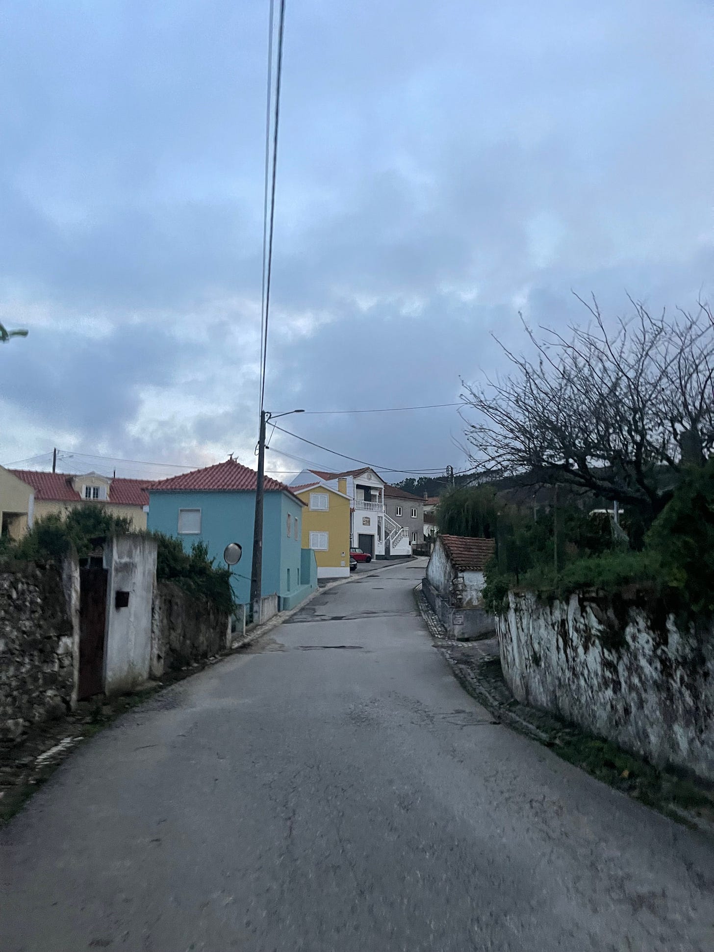 IMG_5516.jpeg