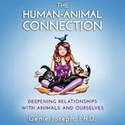 A person meditating with animals

AI-generated content may be incorrect.
