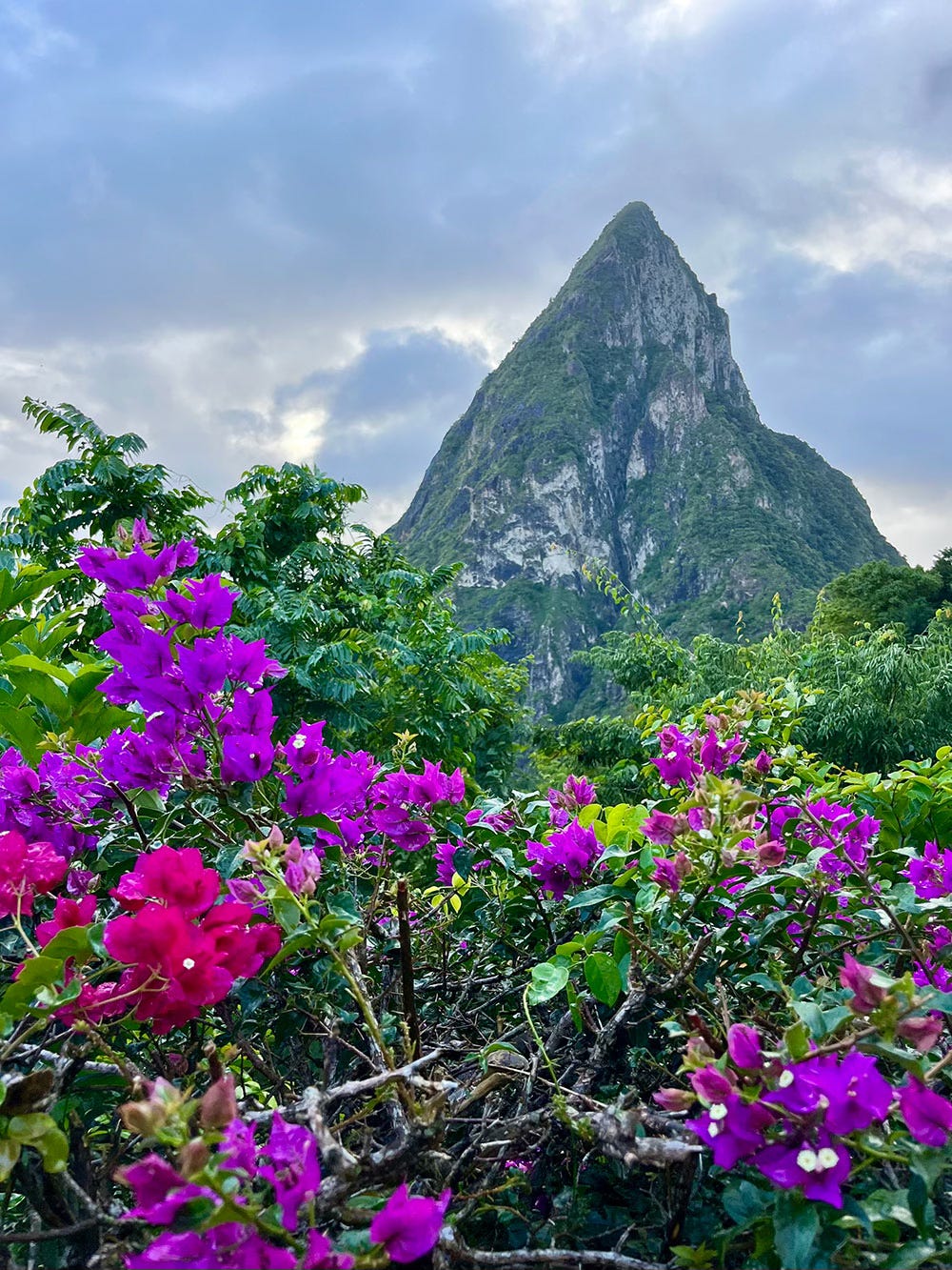 Petit Piton
