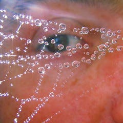 Beauty in the beholders eye....... Beauty in the beholders eye.......