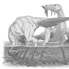 An Artist’s Guide to Collaborative Imagining