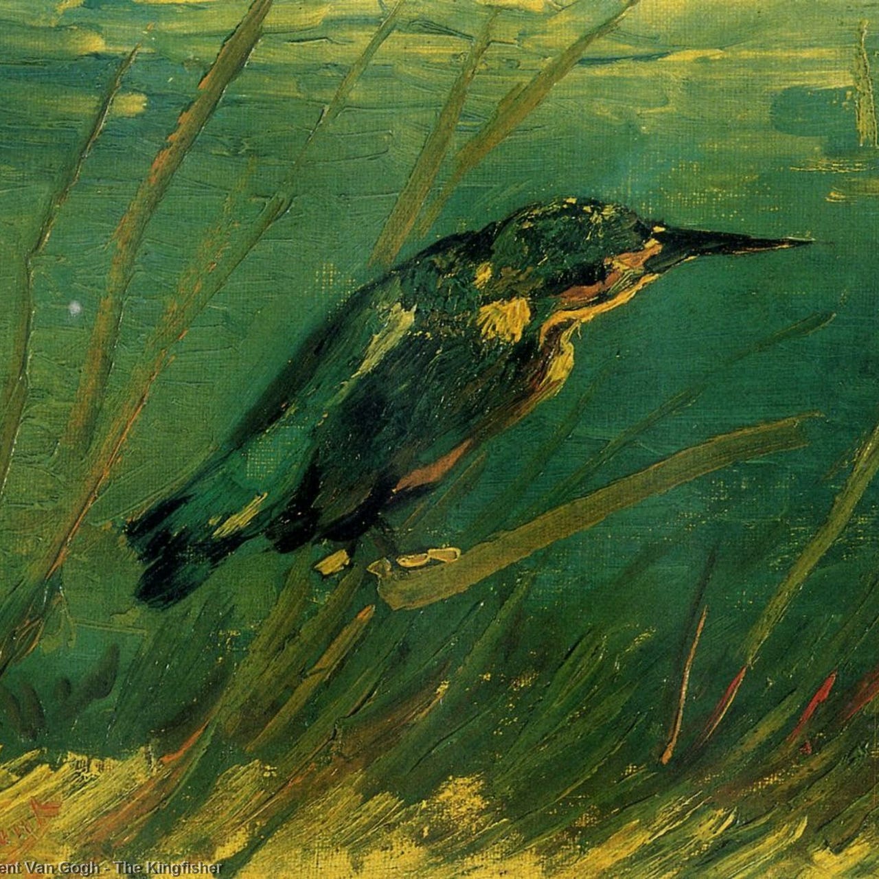 Fleeting Meditations