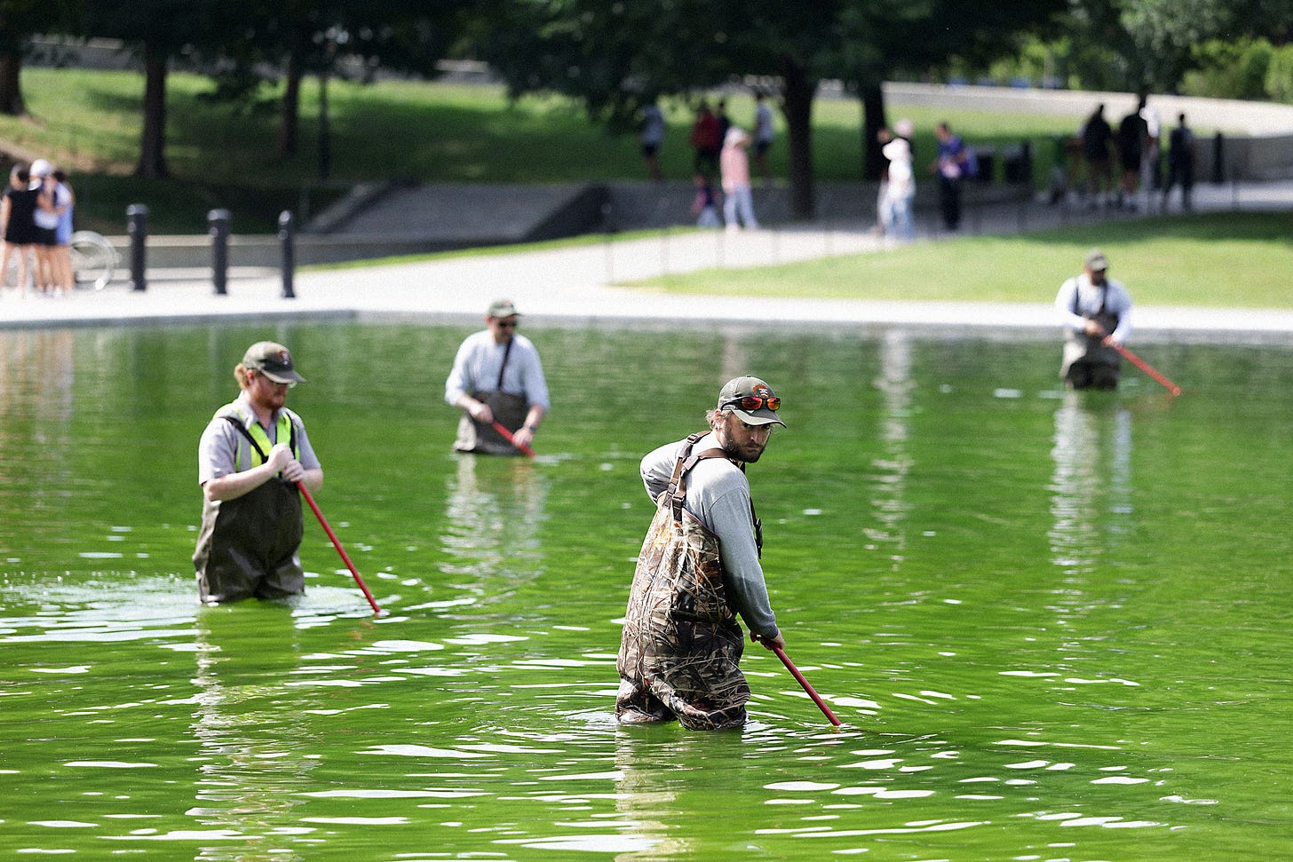 WASHINGTON DC JUNE 14 National Park Service employees work to clean up algae in the Lincoln Memorial Reflecting Pool... WASHINGTON DC JUNE 14 National Park Service employees work to clean up algae in the Lincoln Memorial Reflecting Pool...