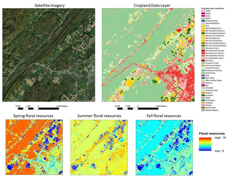 Image of satellite maps Image of satellite maps
