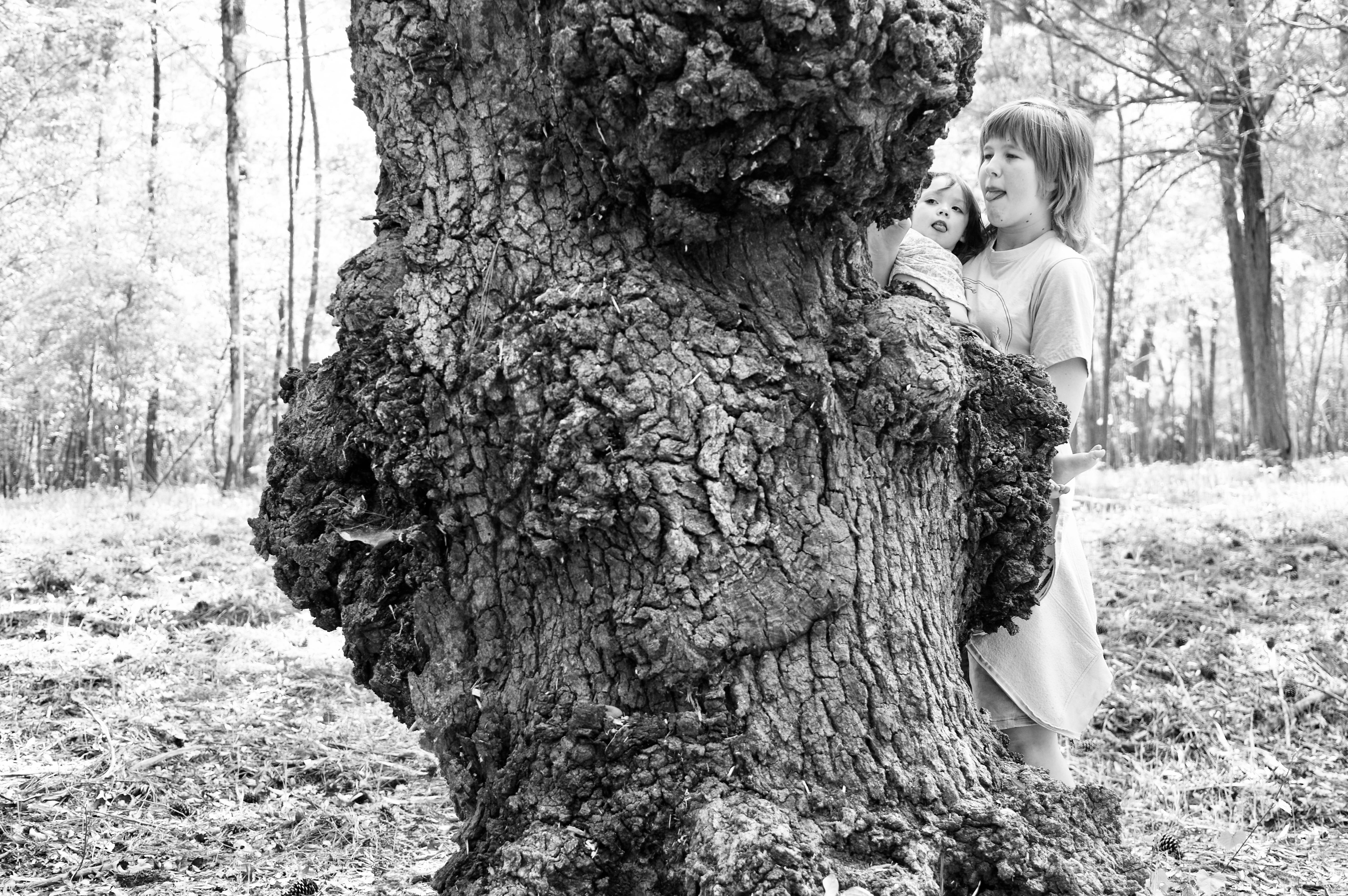 BECOME TREE ピアス　両耳 Become tree A Girl, a Baby, and an Old, Old Tree