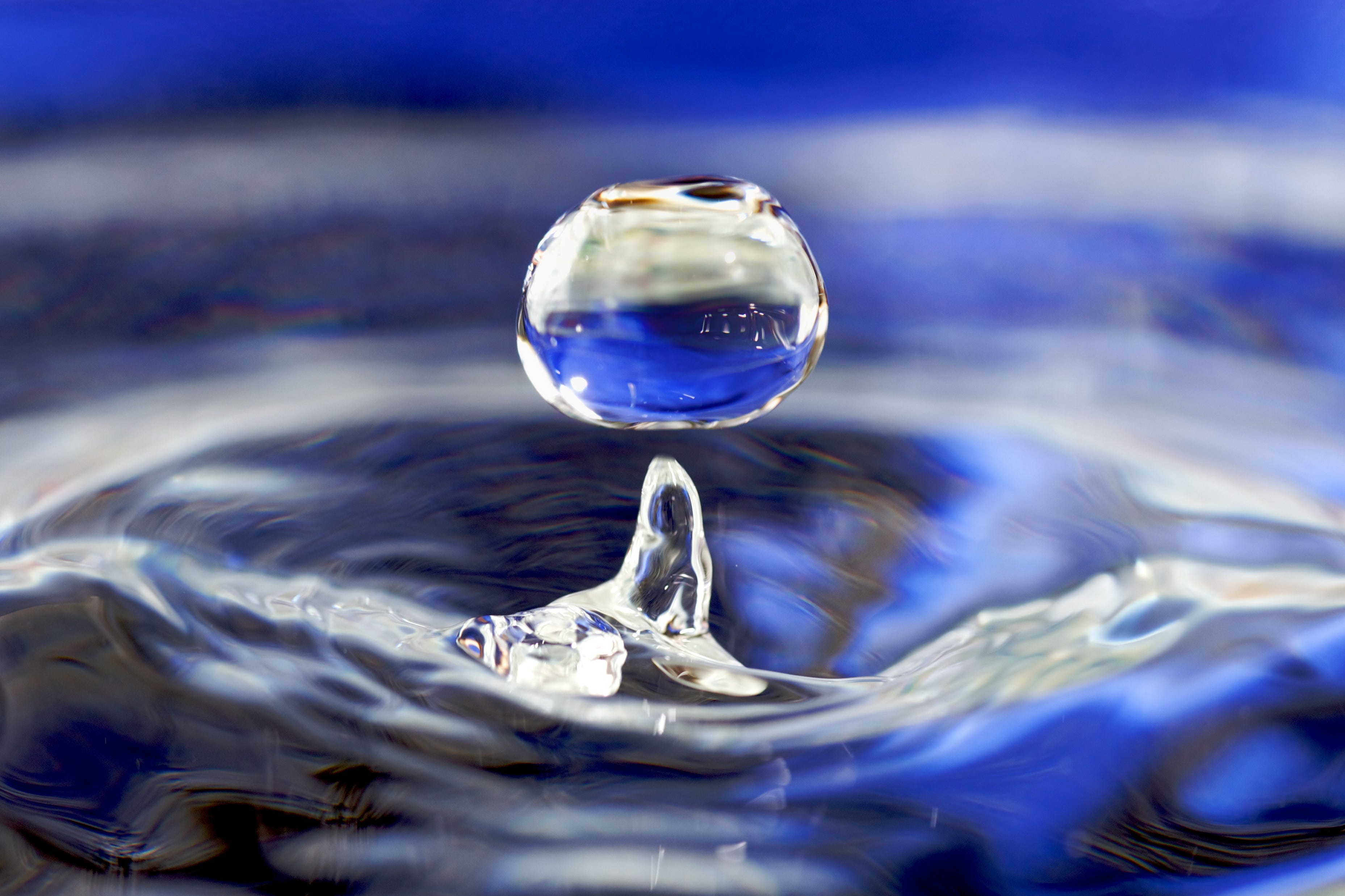 The Most Important Molecule - by Lynn Broaddus