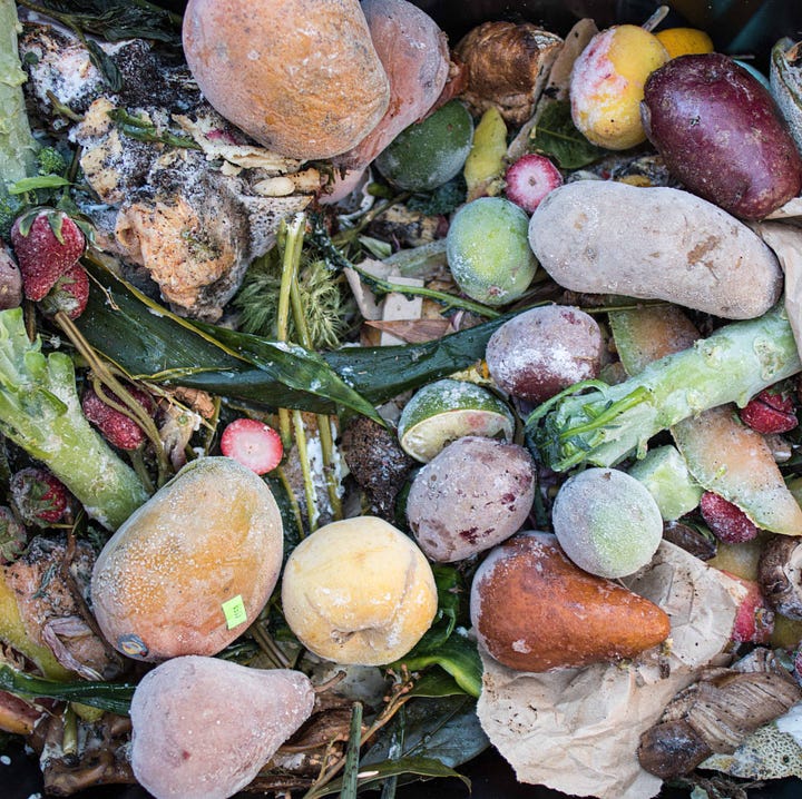 Diptych: Compost with frozen fruits and vegetables