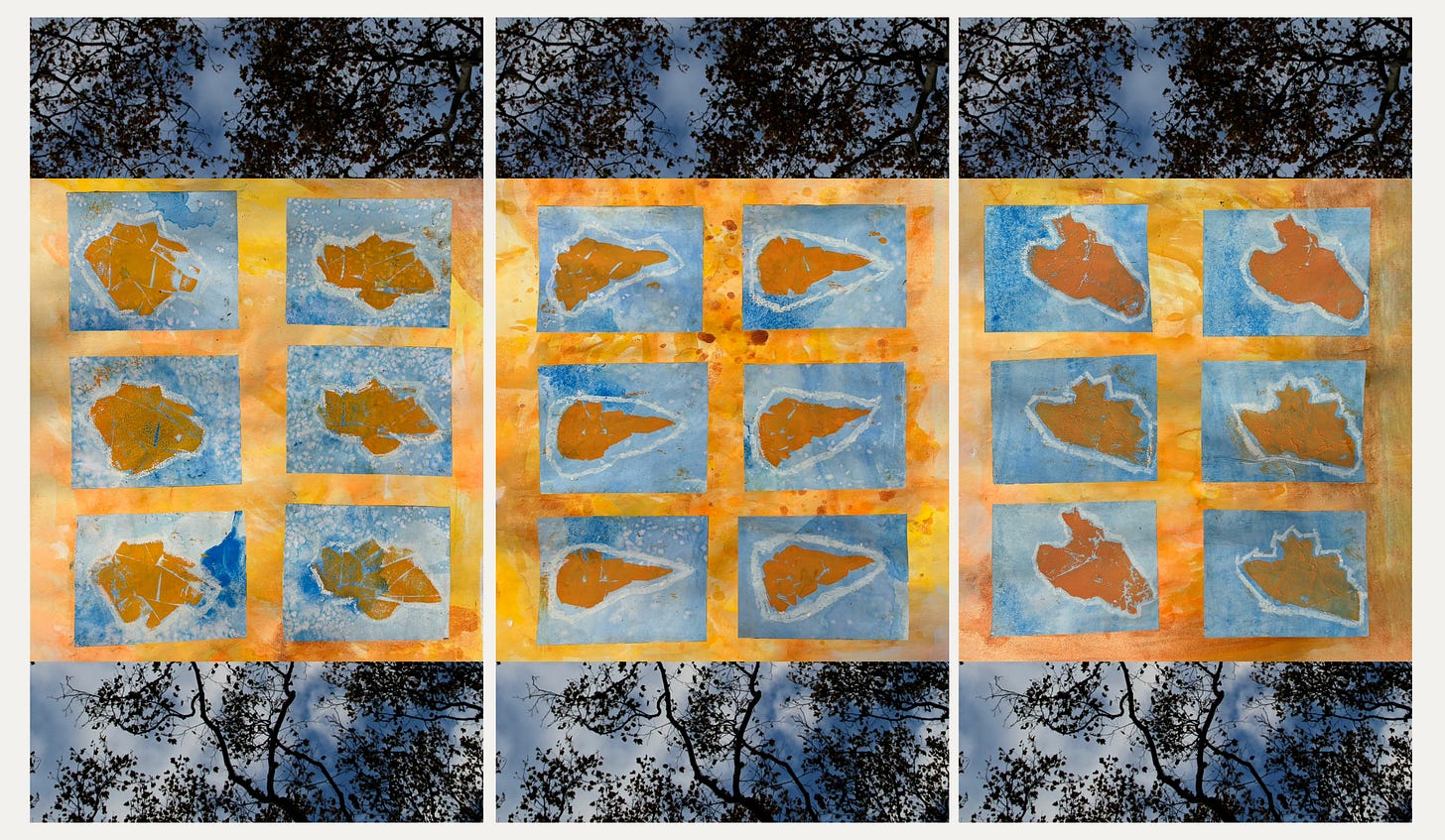 Grid of eighteen prints by young artists showing negative space shapes in orange and blue, displayed in three panels with tree canopy photographs above and below Grid of eighteen prints by young artists showing negative space shapes in orange and blue, displayed in three panels with tree canopy photographs above and below