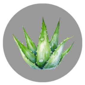 ViQure S-LD At-Home Laser Hair Removal Process Post Treatment