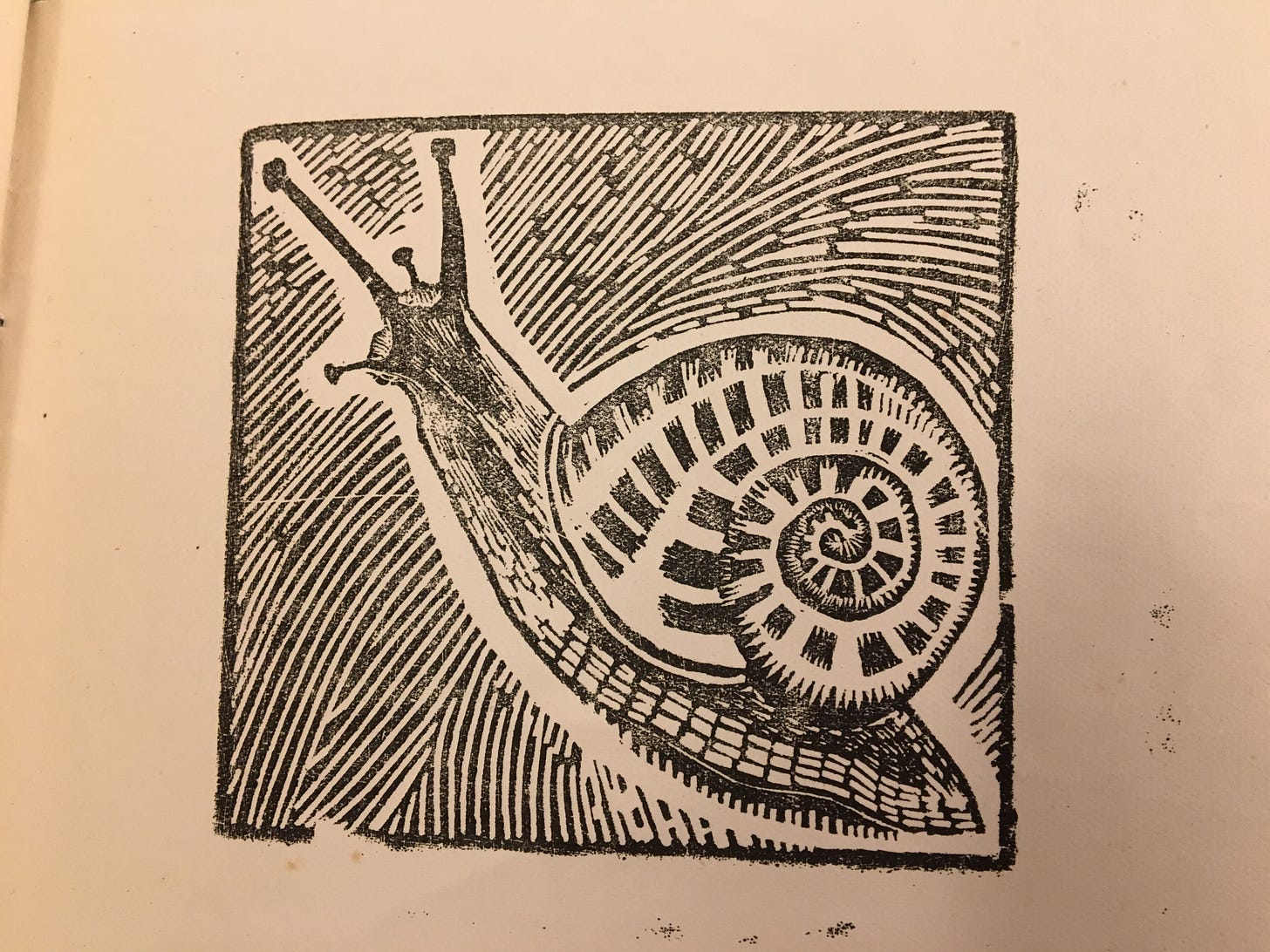 The Mark on the Page: Hogarth's Snail around the Flowerbed of Literature |  Blogging Woolf