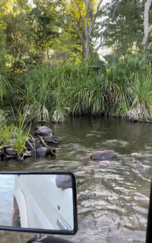 water crossing on our way to El Questro Station