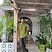 Yash Gaikwad's avatar