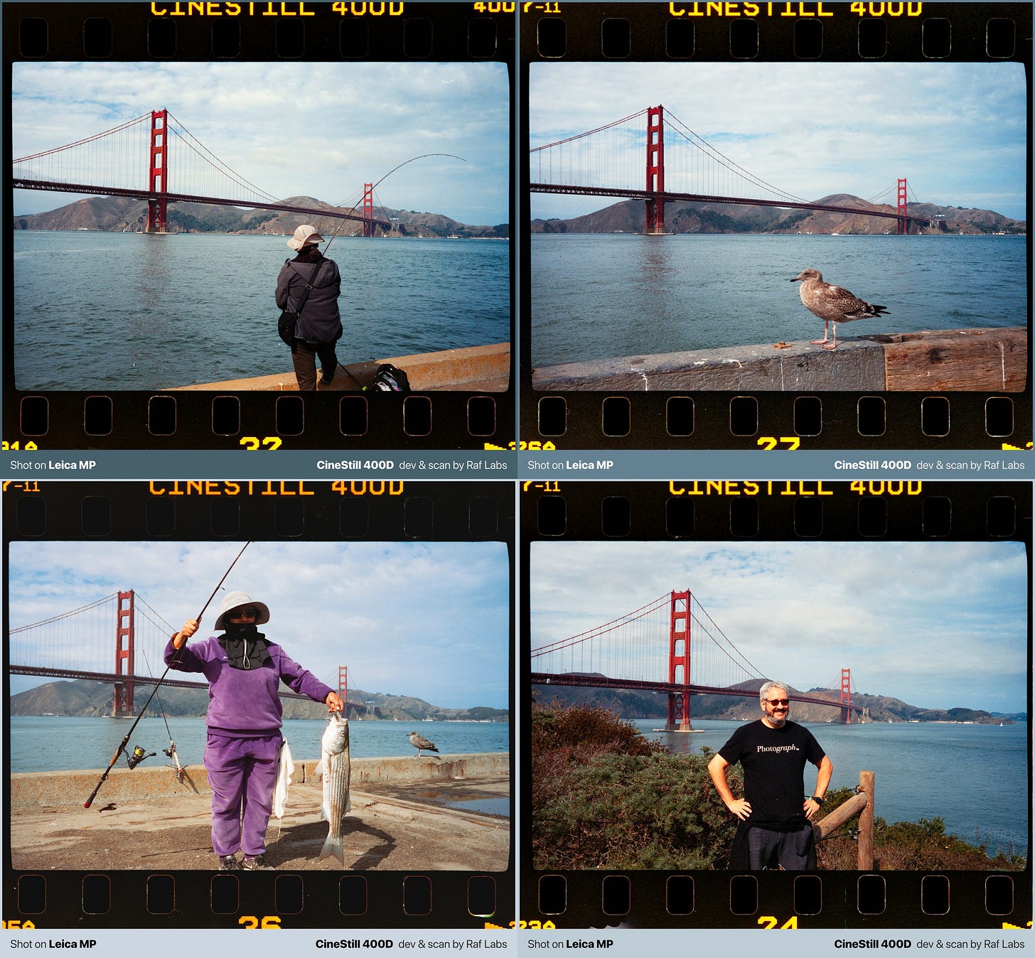 film photography grid