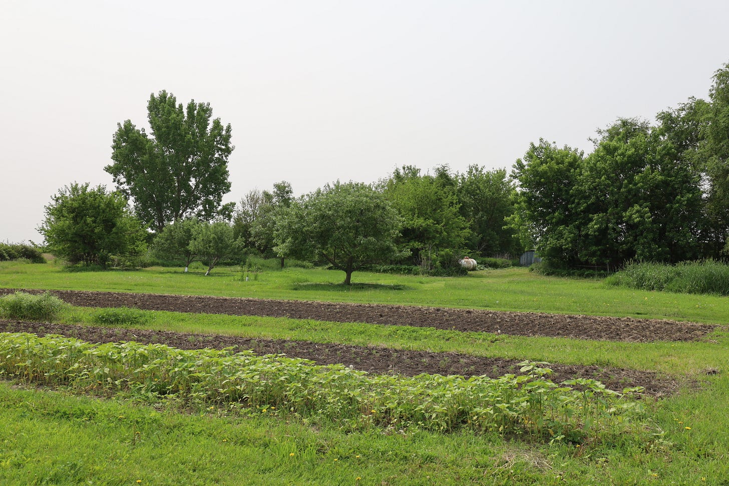 Freyr Field at the Genuine Faux Farm in 2025 Freyr Field at the Genuine Faux Farm in 2025
