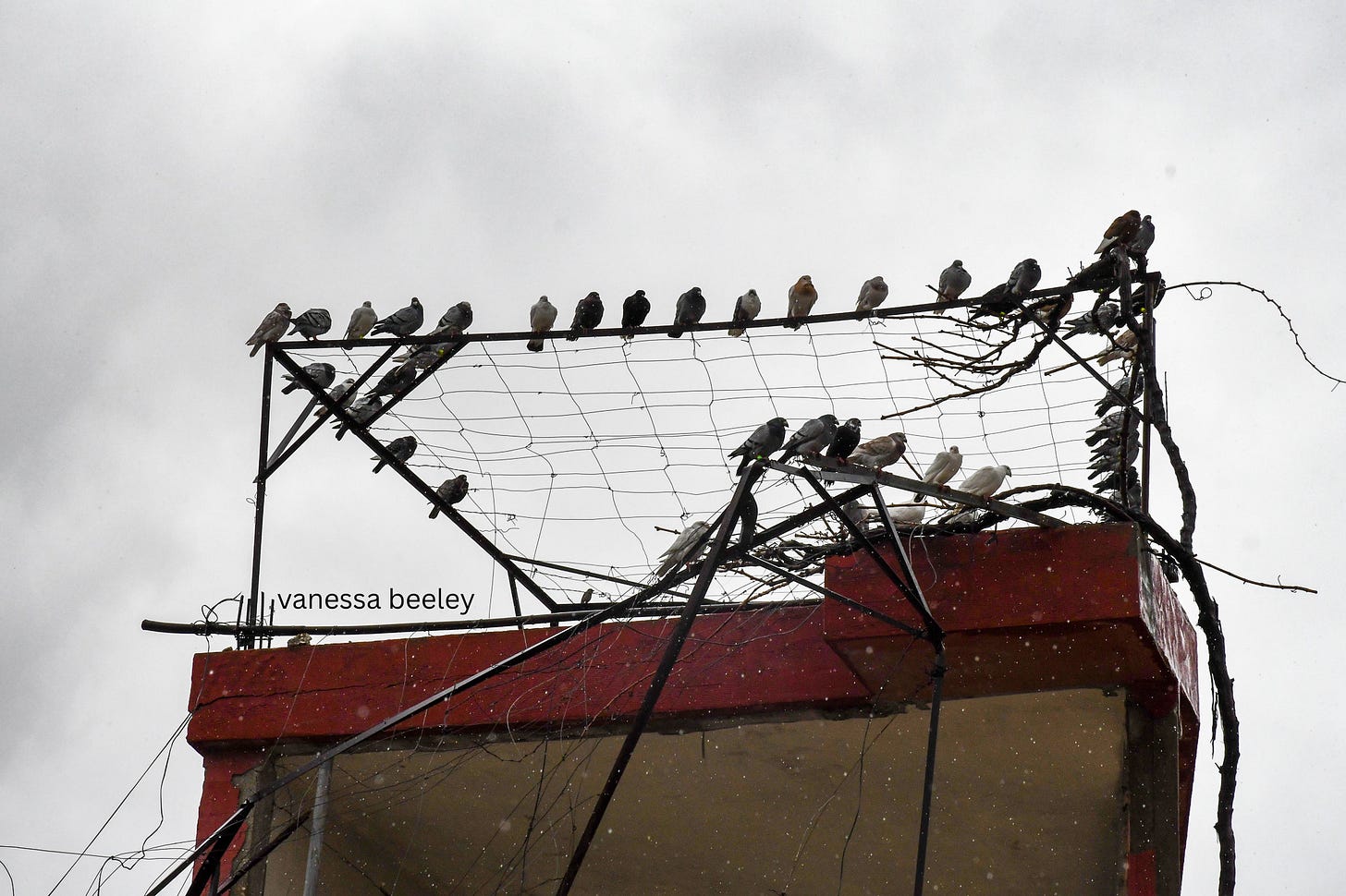 Sohmor, Lebanon: A Legacy of Persecution and Resistance, Now Under ...