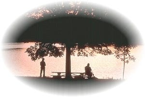 Category: Diary picture