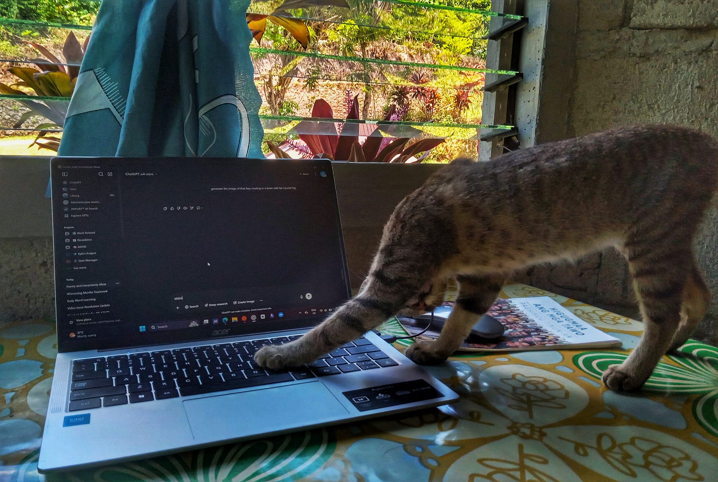 A tabby cat types in a laptop computer while licking its legs on a colorful patterned table with a garden view.