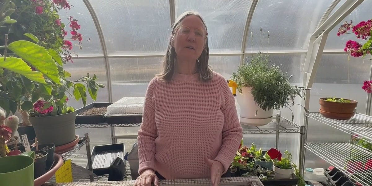 Planting Onions - by Lynn Ellen Doxon - Lynn's Substack
