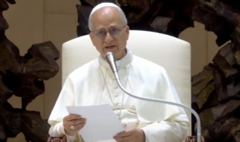 Pope Leo XIV Instructs Catholic Politicians To Deepen Their Knowledge Of Catholic Social Doctrine And "Put It Into Practice"