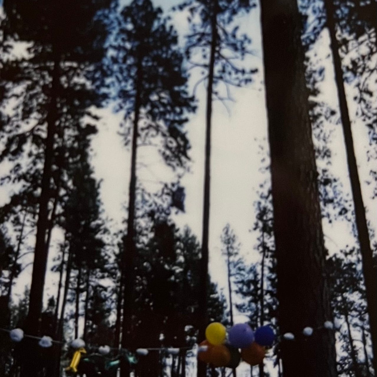 Lingering Liminality 