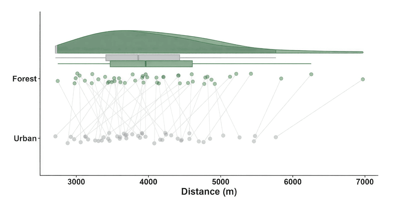 Could A Greener Route Make The Same Run Feel Better? 1 Could A Greener Route Make The Same Run Feel Better? 1