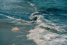 Waves breaking on the shore.