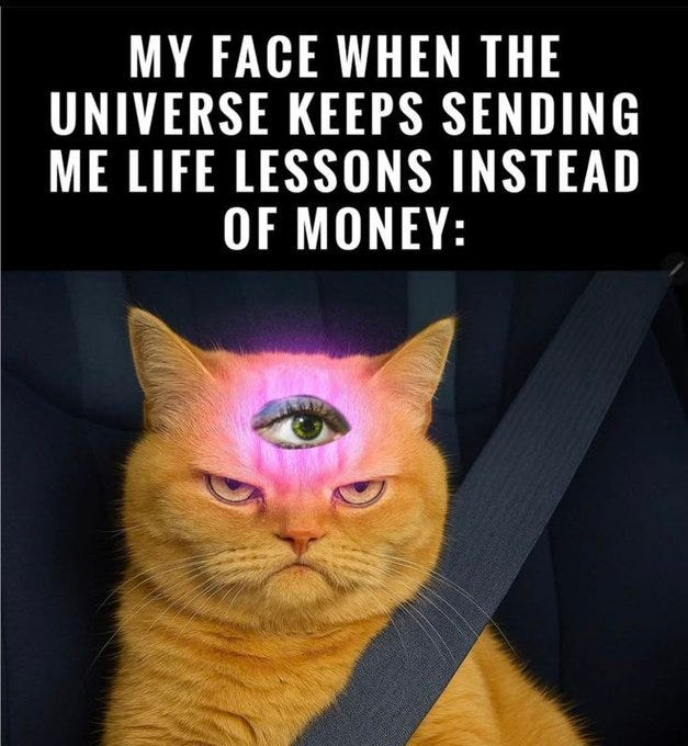 An orange cat with a glowing purple third eye on its forehead, sitting in a car seat and wearing a seatbelt. The cat has a grumpy expression. White text overlay reads "MY FACE WHEN THE UNIVERSE KEEPS SENDING ME LIFE LESSONS INSTEAD OF MONEY:".