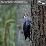 Soundwalk