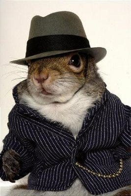 A squirrel in a fedora and black jacket