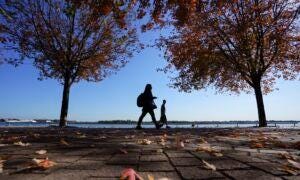 Excess Deaths in Young Canadians Jump to 27 Percent