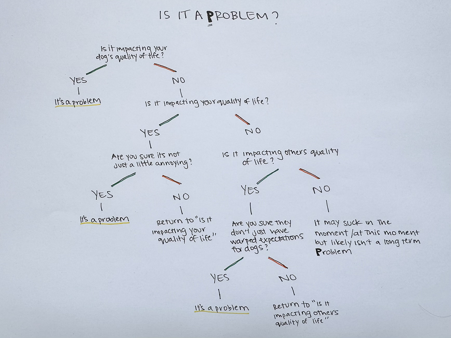 christie made a flow chart about how to think about if a dog's behavior is a problem