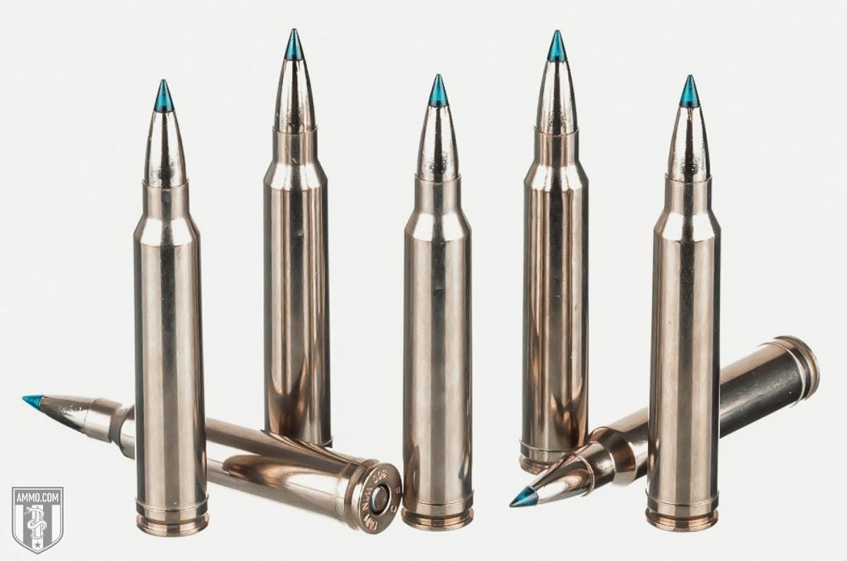 300 Win Mag ammo for sale
