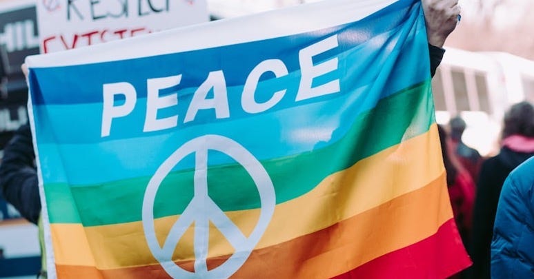 person holding peace flag